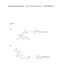 BIOSYNTHETIC PROLINE/ALANINE RANDOM COIL POLYPEPTIDES AND THEIR USES diagram and image