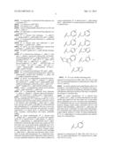 COMPOUNDS FOR IMMUNOPROTEASOME INHIBITION diagram and image