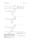 COMPOUNDS FOR IMMUNOPROTEASOME INHIBITION diagram and image