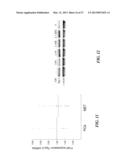 SAPOSIN-A DERIVED PEPTIDES AND USES THEREOF diagram and image