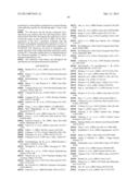 SAPOSIN-A DERIVED PEPTIDES AND USES THEREOF diagram and image