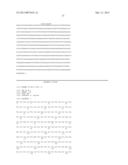 SAPOSIN-A DERIVED PEPTIDES AND USES THEREOF diagram and image