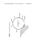 GPR 119 MODULATORS diagram and image