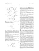 Methods and Compounds Regulating the Erythroid Response to Iron Deficiency diagram and image