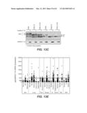 ASSAYS AND METHODS USING BIOMARKERS diagram and image