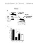 DEVELOPMENT OF  C-REACTIVE PROTEIN MUTANT WITH IMPROVED THERAPEUTIC     BENEFIT IN IMMUNE THROMBOCYTOPENIA AND LUPUS NEPHRITIS diagram and image