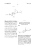 NOVEL BETULINIC ACID DERIVATIVES WITH ANTIVIRAL ACTIVITY diagram and image