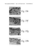 6,8-DISUBSTITUTED PURINE COMPOSITIONS diagram and image