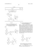 2-PHENYL BENZOYLAMIDES diagram and image