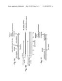 METHODS FOR THE TREATMENT AND PREVENTION OF AGE-RELATED RETINAL     DYSFUNCTION diagram and image