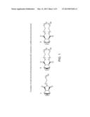 Water-Soluble and Water-Insoluble, Ring Opening Metathesis Polymerization     Products, Monomers and Related Methods diagram and image