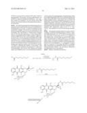 Polymeric Carriers of Therapeutic Agents and Recognition Moieties for     Antibody-Based Targeting of Disease Sites diagram and image