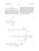 Polymeric Carriers of Therapeutic Agents and Recognition Moieties for     Antibody-Based Targeting of Disease Sites diagram and image