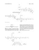 Polymeric Carriers of Therapeutic Agents and Recognition Moieties for     Antibody-Based Targeting of Disease Sites diagram and image