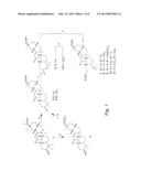 18 -GLYCYRRHETINIC ACID DERIVATIVES AND SYNTHETIC METHOD THEREOF diagram and image