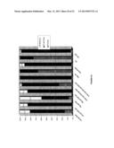 SUPPORTED METAL CATALYSTS diagram and image