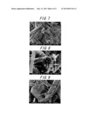 CATALYST AND METHOD FOR PRODUCING THE SAME AND METHOD FOR PRODUCING     PARAXYLENE USING THE SAME diagram and image