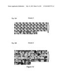 Conformable Actively Multiplexed High-Density Surface Electrode Array for     Brain Interfacing diagram and image