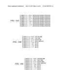 DOUBLE DATA RATE TEST INTERFACE AND ARCHITECTURE diagram and image