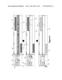 Media Editing Application for Assigning Roles to Media Content diagram and image