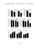 TRANSGENIC SOYBEAN PLANTS EXHIBITING IMPROVED INNATE IMMUNITY diagram and image