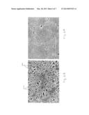 Surface-Modified Fluoropolymer Membrane diagram and image