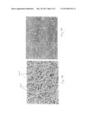 Surface-Modified Fluoropolymer Membrane diagram and image