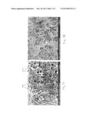 Surface-Modified Fluoropolymer Membrane diagram and image