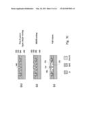 Bulk Silicon Moving Member with Dimple diagram and image