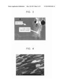 PERMANENT MAGNET AND MANUFACTURING METHOD THEREOF, AND MOTOR AND GENERATOR     USING THE SAME diagram and image