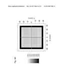 LIGHT SOURCE APPARATUS diagram and image