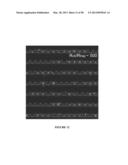 Deterministic High-Density Single-Cell Trap Array diagram and image