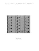 Deterministic High-Density Single-Cell Trap Array diagram and image