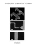 Deterministic High-Density Single-Cell Trap Array diagram and image