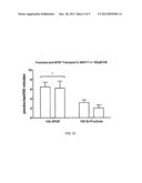 FLUORINATED FRUCTOSE DERIVATIVES FOR PET IMAGING diagram and image