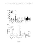 CHITOSAN DERIVATIVES FOR INACTIVATION OF ENDOTOXINS AND SURFACE PROTECTION     OF NANOPARTICLES diagram and image