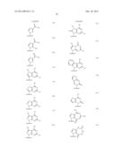 2 -CHLOROACETYLENYL SUBSTITUTED NUCLEOSIDE DERIVATIVES diagram and image