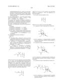 2 -CHLOROACETYLENYL SUBSTITUTED NUCLEOSIDE DERIVATIVES diagram and image