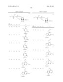 2 -CHLOROACETYLENYL SUBSTITUTED NUCLEOSIDE DERIVATIVES diagram and image