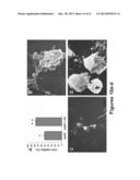 COMPOSITIONS AND METHODS USING SAME FOR TREATING AMYLOID-ASSOCIATED     DISEASES diagram and image