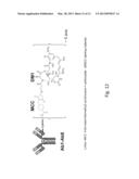 CD27L ANTIGEN BINDING PROTEINS diagram and image