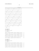 4-1BB BINDING MOLECULES diagram and image