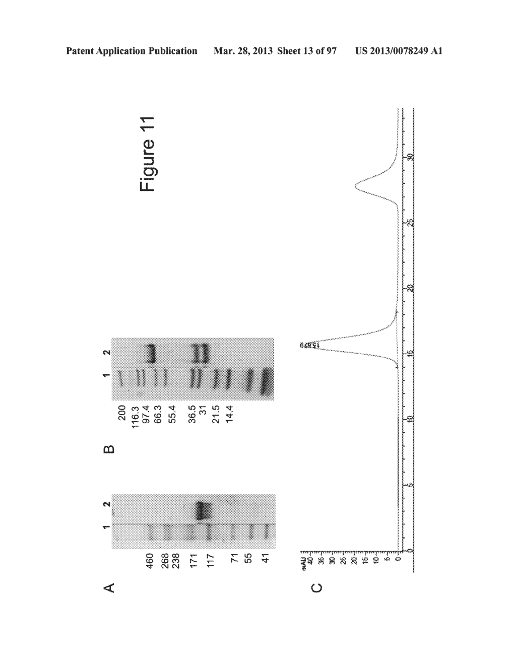 BISPECIFIC T CELL ACTIVATING ANTIGEN BINDING MOLECULES - diagram, schematic, and image 14