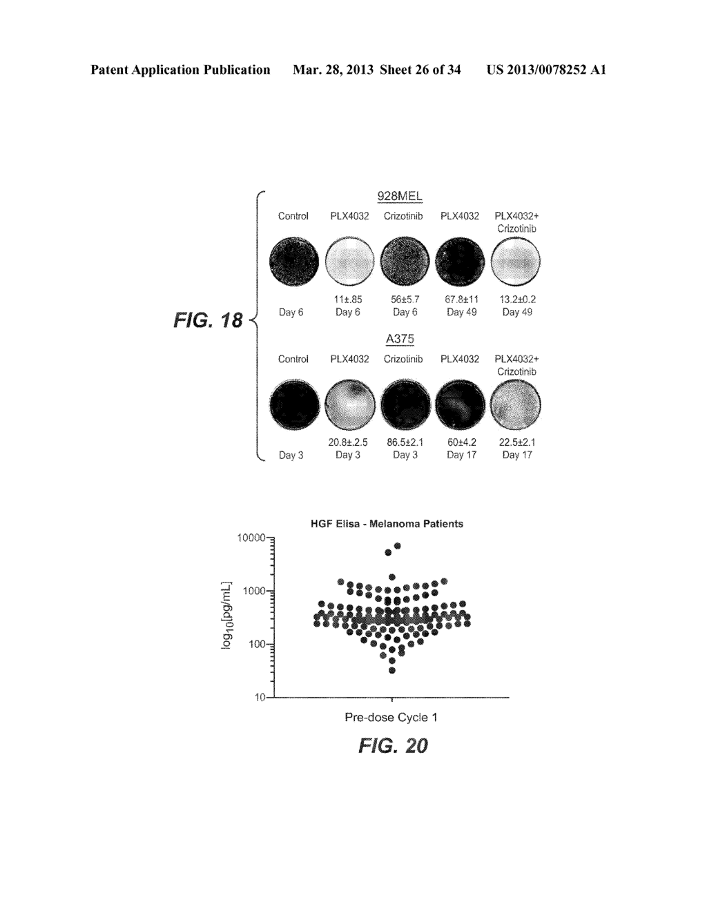 COMBINATION TREATMENTS COMPRISING C-MET ANTAGONISTS AND B-RAF ANTAGONISTS - diagram, schematic, and image 27