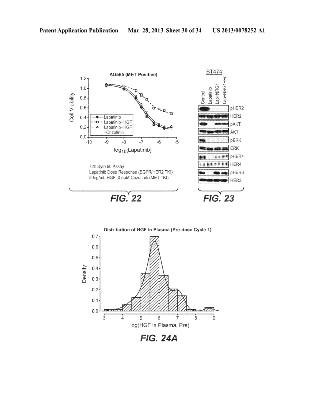 COMBINATION TREATMENTS COMPRISING C-MET ANTAGONISTS AND B-RAF ANTAGONISTS - diagram, schematic, and image 31