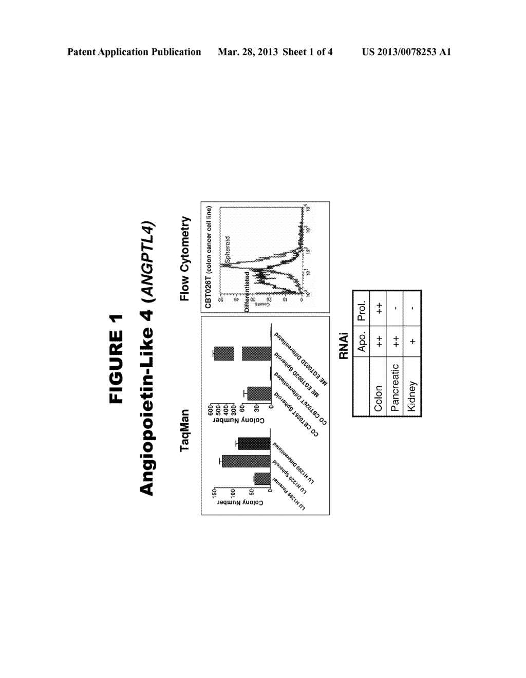 CANCER TARGETS AND USES THEREOF - diagram, schematic, and image 02