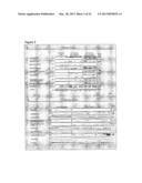 SERUM AND TISSUE BIOMARKERS OF HUMAN HCC diagram and image