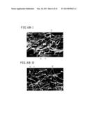 Composite Molded Body of Metal Member and Molded Resin Member, and Surface     Processing Method of Metal Member diagram and image