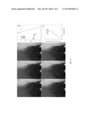 METHODS FOR PRODUCING NANOPARTICLES AND USING SAME diagram and image