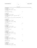 COMPOSITIONS, REACTION MIXTURES AND METHODS FOR DETECTING NUCLEIC ACIDS     FROM TYPE A1 AND/OR TYPE C1 HUMAN PAPILLOMAVIRUS diagram and image